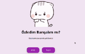 Özür Sitesi Önizleme